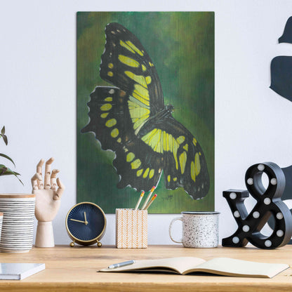 Luxe Metal Art 'Malachite Butterfly' by Barbara Keith, Metal Wall Art,12x16