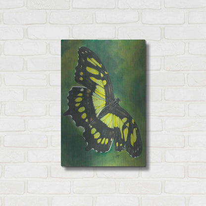 Luxe Metal Art 'Malachite Butterfly' by Barbara Keith, Metal Wall Art,16x24