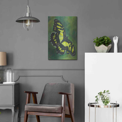 Luxe Metal Art 'Malachite Butterfly' by Barbara Keith, Metal Wall Art,16x24