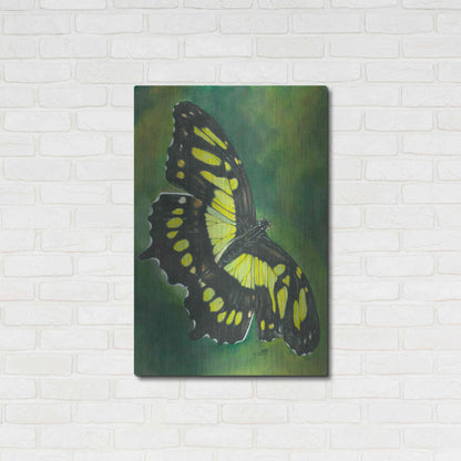 Luxe Metal Art 'Malachite Butterfly' by Barbara Keith, Metal Wall Art,24x36