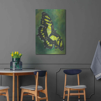 Luxe Metal Art 'Malachite Butterfly' by Barbara Keith, Metal Wall Art,24x36