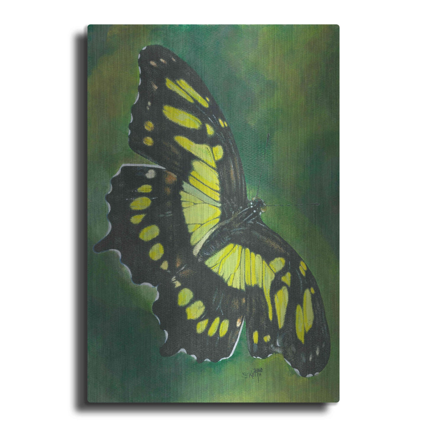 Luxe Metal Art 'Malachite Butterfly' by Barbara Keith, Metal Wall Art