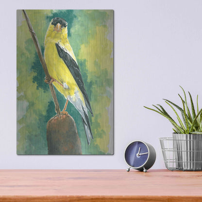 Luxe Metal Art 'Aureate' by Barbara Keith, Metal Wall Art,12x16