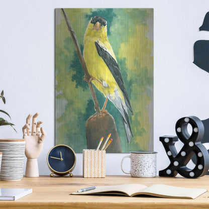 Luxe Metal Art 'Aureate' by Barbara Keith, Metal Wall Art,12x16