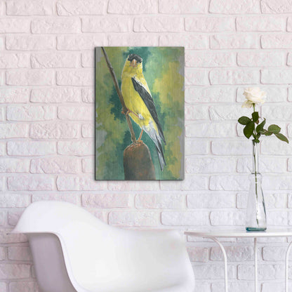 Luxe Metal Art 'Aureate' by Barbara Keith, Metal Wall Art,16x24