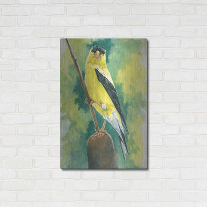 Luxe Metal Art 'Aureate' by Barbara Keith, Metal Wall Art,24x36