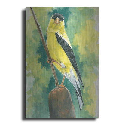 Luxe Metal Art 'Aureate' by Barbara Keith, Metal Wall Art