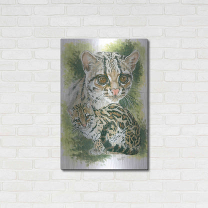 Luxe Metal Art 'Bantom' by Barbara Keith, Metal Wall Art,24x36