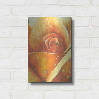 Luxe Metal Art 'Glimmer 2' by Barbara Keith, Metal Wall Art,12x16