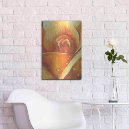 Luxe Metal Art 'Glimmer 2' by Barbara Keith, Metal Wall Art,16x24