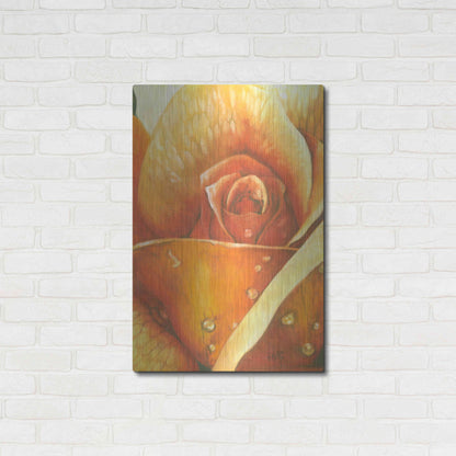 Luxe Metal Art 'Glimmer 2' by Barbara Keith, Metal Wall Art,24x36