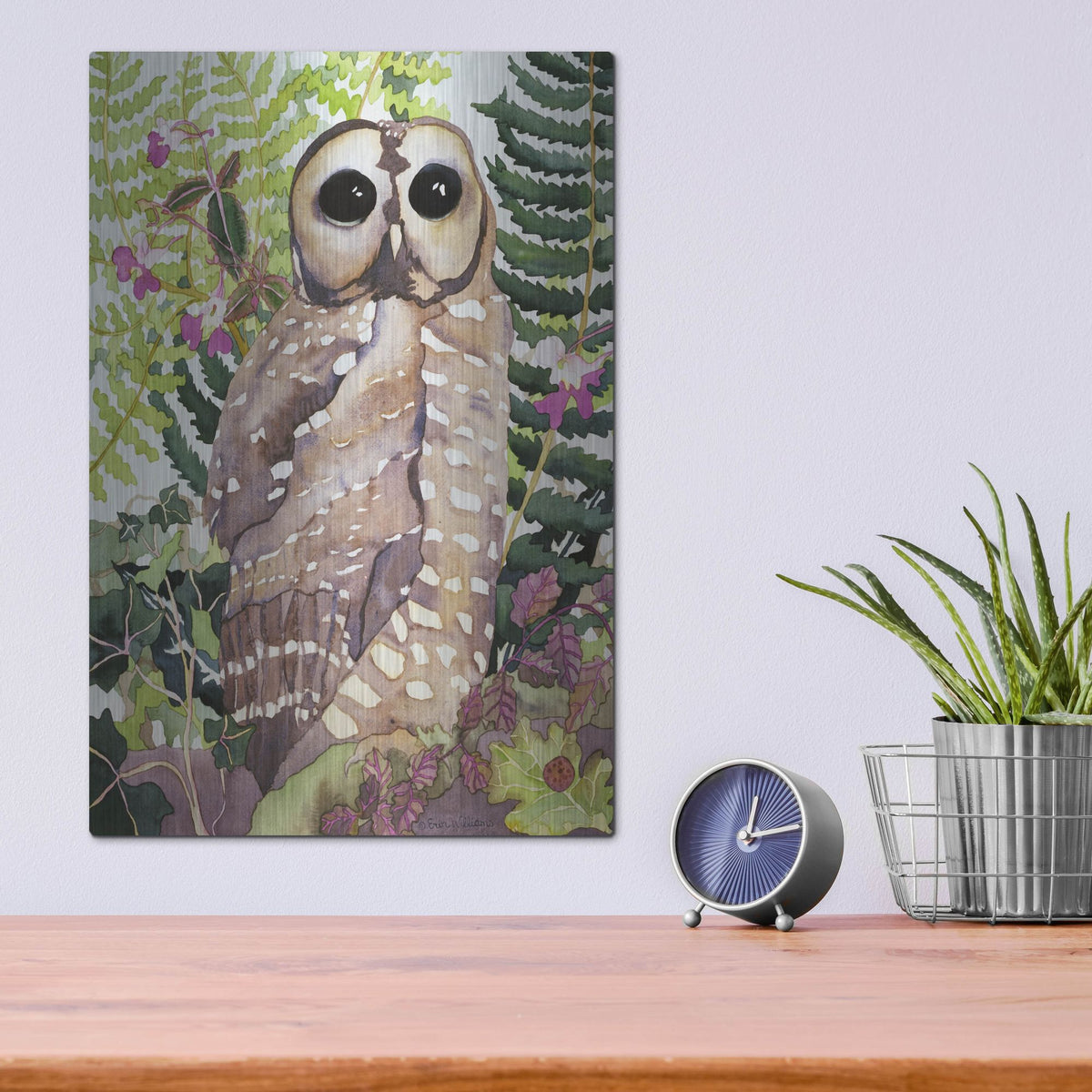 Luxe Metal Art 'Spotted Owl' by Carissa Luminess, Metal Wall Art,12x16