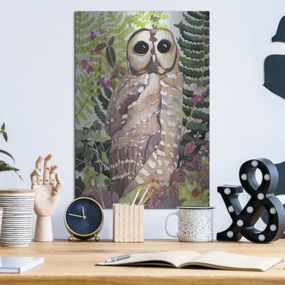 Luxe Metal Art 'Spotted Owl' by Carissa Luminess, Metal Wall Art,12x16