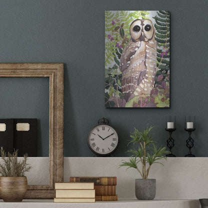 Luxe Metal Art 'Spotted Owl' by Carissa Luminess, Metal Wall Art,12x16