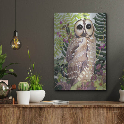 Luxe Metal Art 'Spotted Owl' by Carissa Luminess, Metal Wall Art,12x16