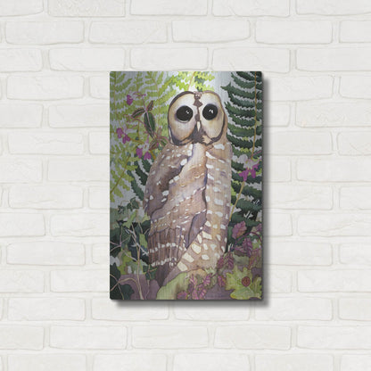 Luxe Metal Art 'Spotted Owl' by Carissa Luminess, Metal Wall Art,16x24