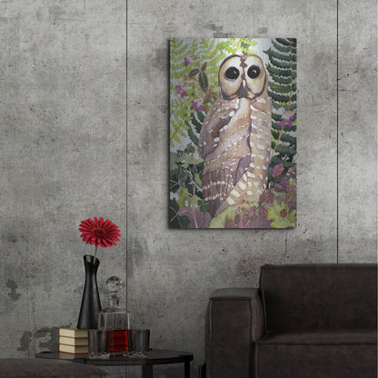 Luxe Metal Art 'Spotted Owl' by Carissa Luminess, Metal Wall Art,24x36