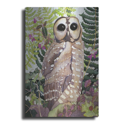 Luxe Metal Art 'Spotted Owl' by Carissa Luminess, Metal Wall Art