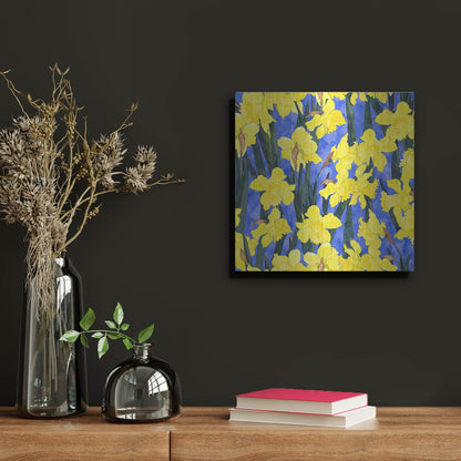 Luxe Metal Art 'Fertile Rising Pattern - Daffodils' by Carissa Luminess, Metal Wall Art,12x12