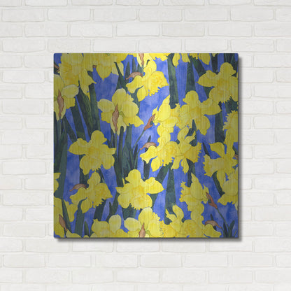 Luxe Metal Art 'Fertile Rising Pattern - Daffodils' by Carissa Luminess, Metal Wall Art,36x36