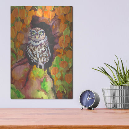Luxe Metal Art 'Owl with Asian Lanterns' by Carissa Luminess, Metal Wall Art,12x16