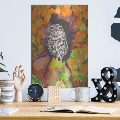 Luxe Metal Art 'Owl with Asian Lanterns' by Carissa Luminess, Metal Wall Art,12x16
