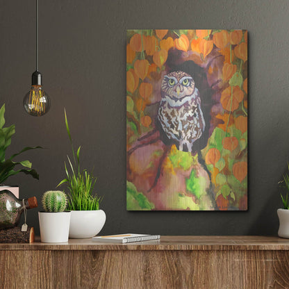 Luxe Metal Art 'Owl with Asian Lanterns' by Carissa Luminess, Metal Wall Art,12x16