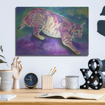 Luxe Metal Art 'Bobcat' by Carissa Luminess, Metal Wall Art,16x12