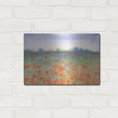 Luxe Metal Art 'Poppy Meadow' by Carissa Luminess, Metal Wall Art,16x12