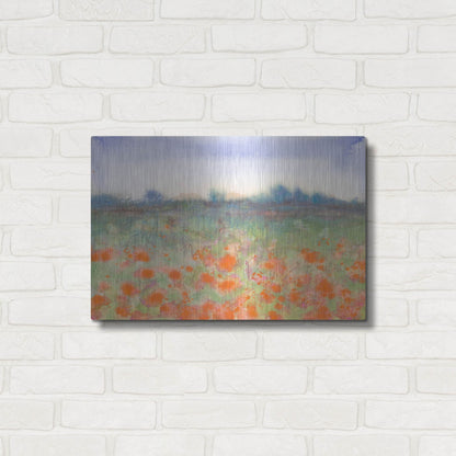 Luxe Metal Art 'Poppy Meadow' by Carissa Luminess, Metal Wall Art,24x16