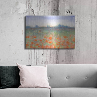 Luxe Metal Art 'Poppy Meadow' by Carissa Luminess, Metal Wall Art,36x24