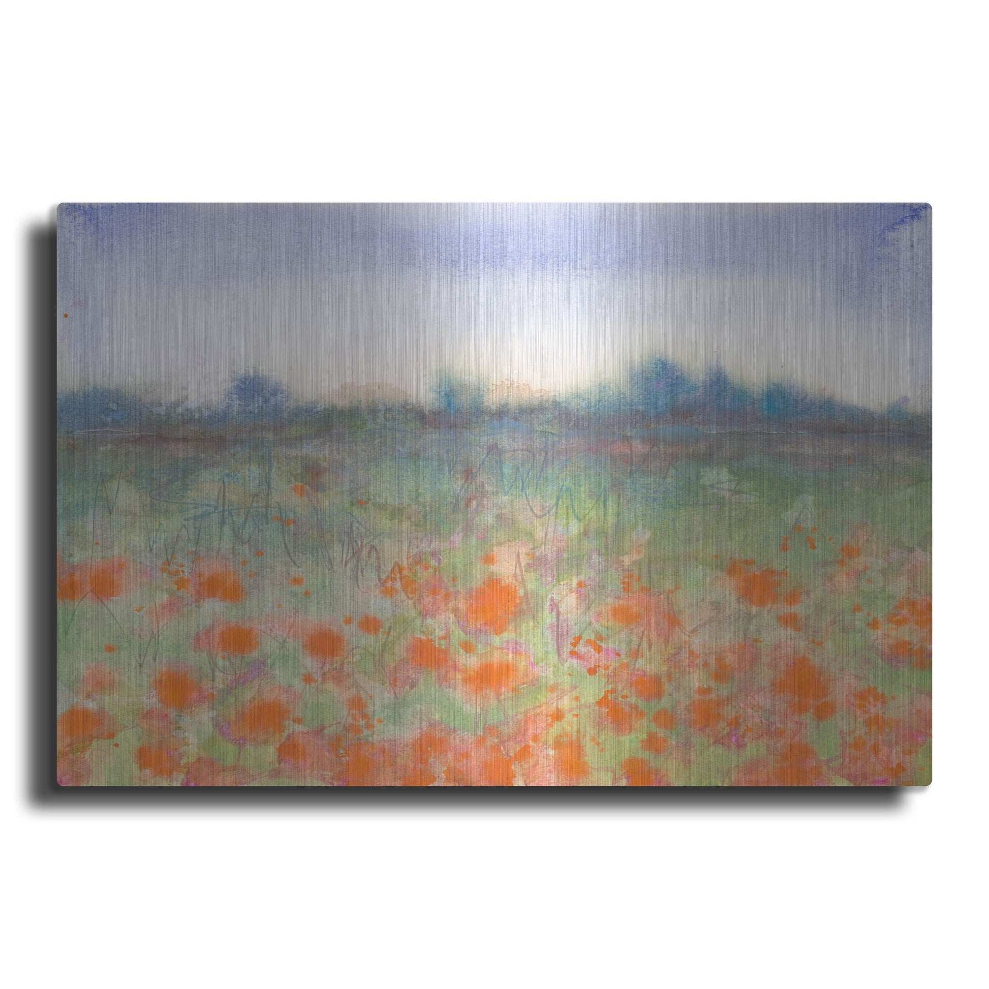 Luxe Metal Art 'Poppy Meadow' by Carissa Luminess, Metal Wall Art