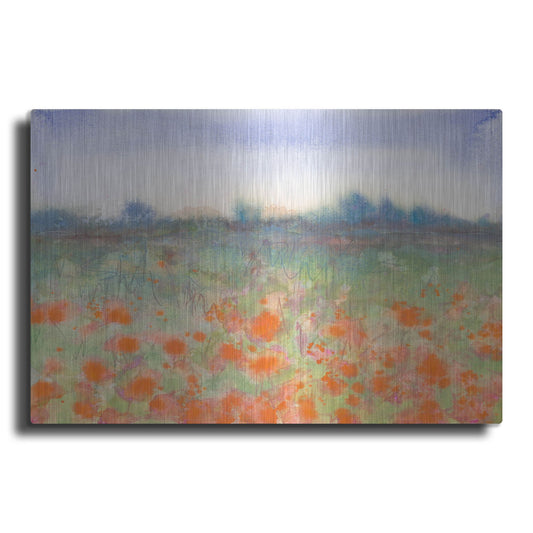 Luxe Metal Art 'Poppy Meadow' by Carissa Luminess, Metal Wall Art