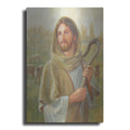 Luxe Metal Art 'Looking For The One' by David Lindsley, Metal Wall Art