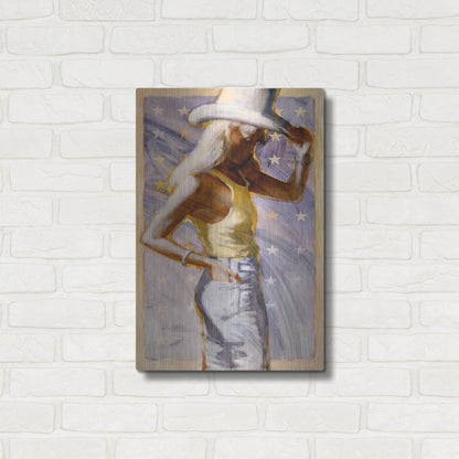 Luxe Metal Art 'Star Field' by J. E. Knauf, Metal Wall Art,16x24