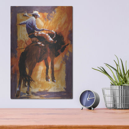 Luxe Metal Art 'Up In Front' by J. E. Knauf, Metal Wall Art,12x16