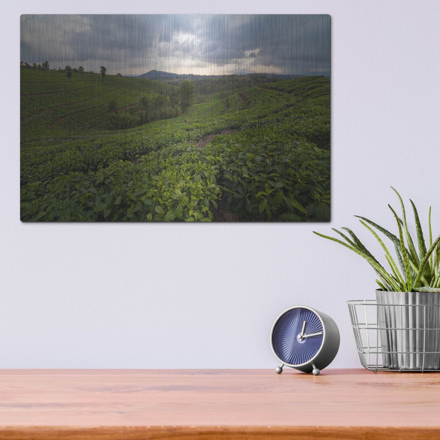 Luxe Metal Art 'Burundi Tea Field' by Joe Reimer Photography, Metal Wall Art,16x12