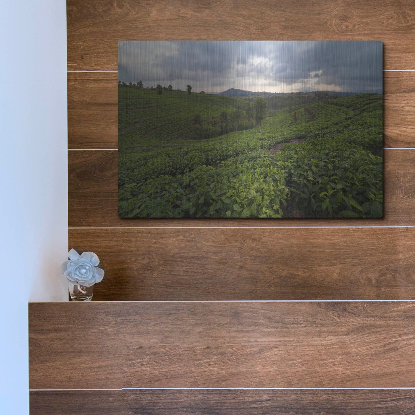 Luxe Metal Art 'Burundi Tea Field' by Joe Reimer Photography, Metal Wall Art,16x12