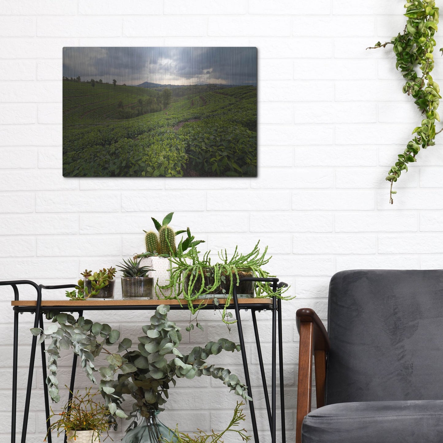 Luxe Metal Art 'Burundi Tea Field' by Joe Reimer Photography, Metal Wall Art,16x12