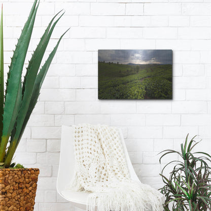 Luxe Metal Art 'Burundi Tea Field' by Joe Reimer Photography, Metal Wall Art,16x12