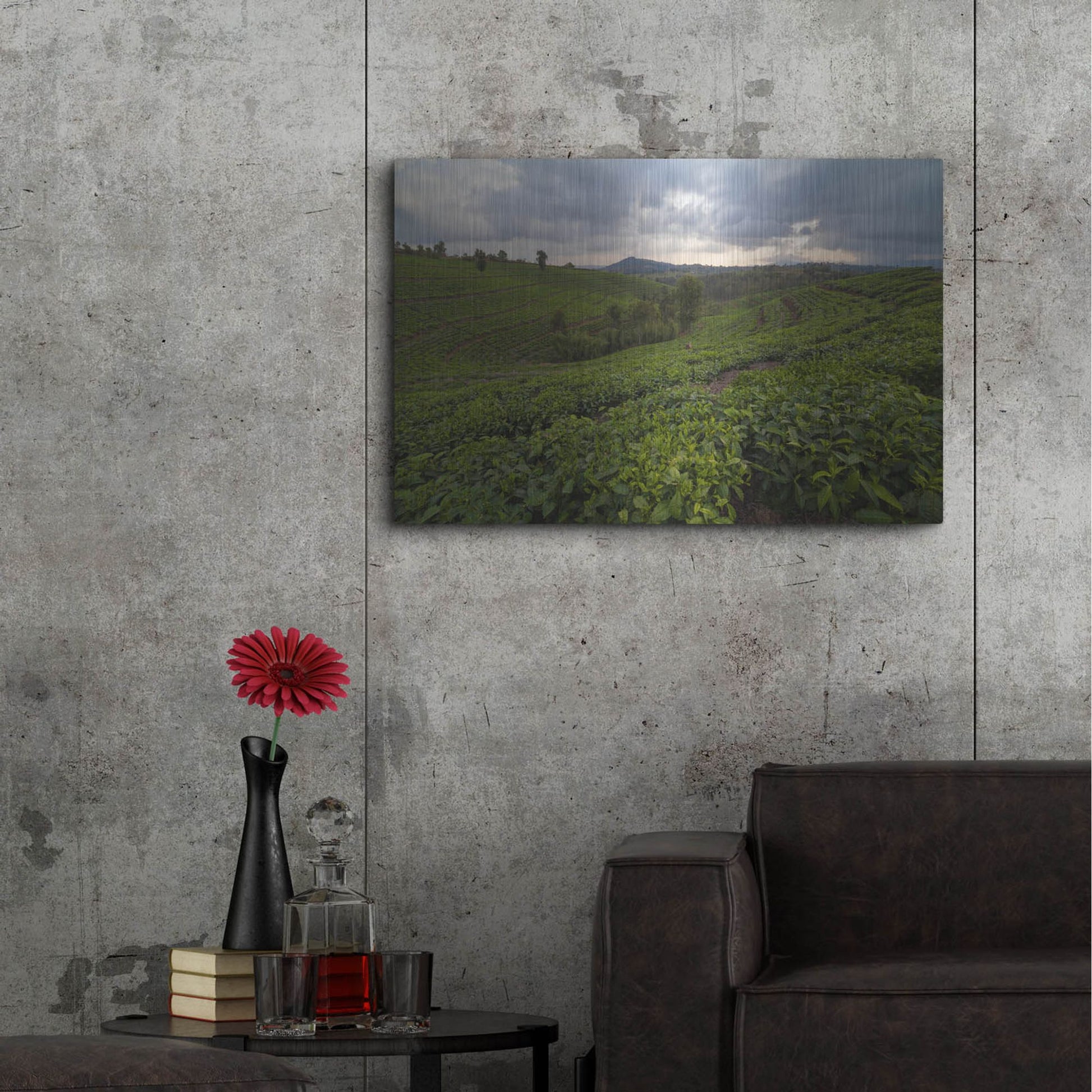 Luxe Metal Art 'Burundi Tea Field' by Joe Reimer Photography, Metal Wall Art,36x24