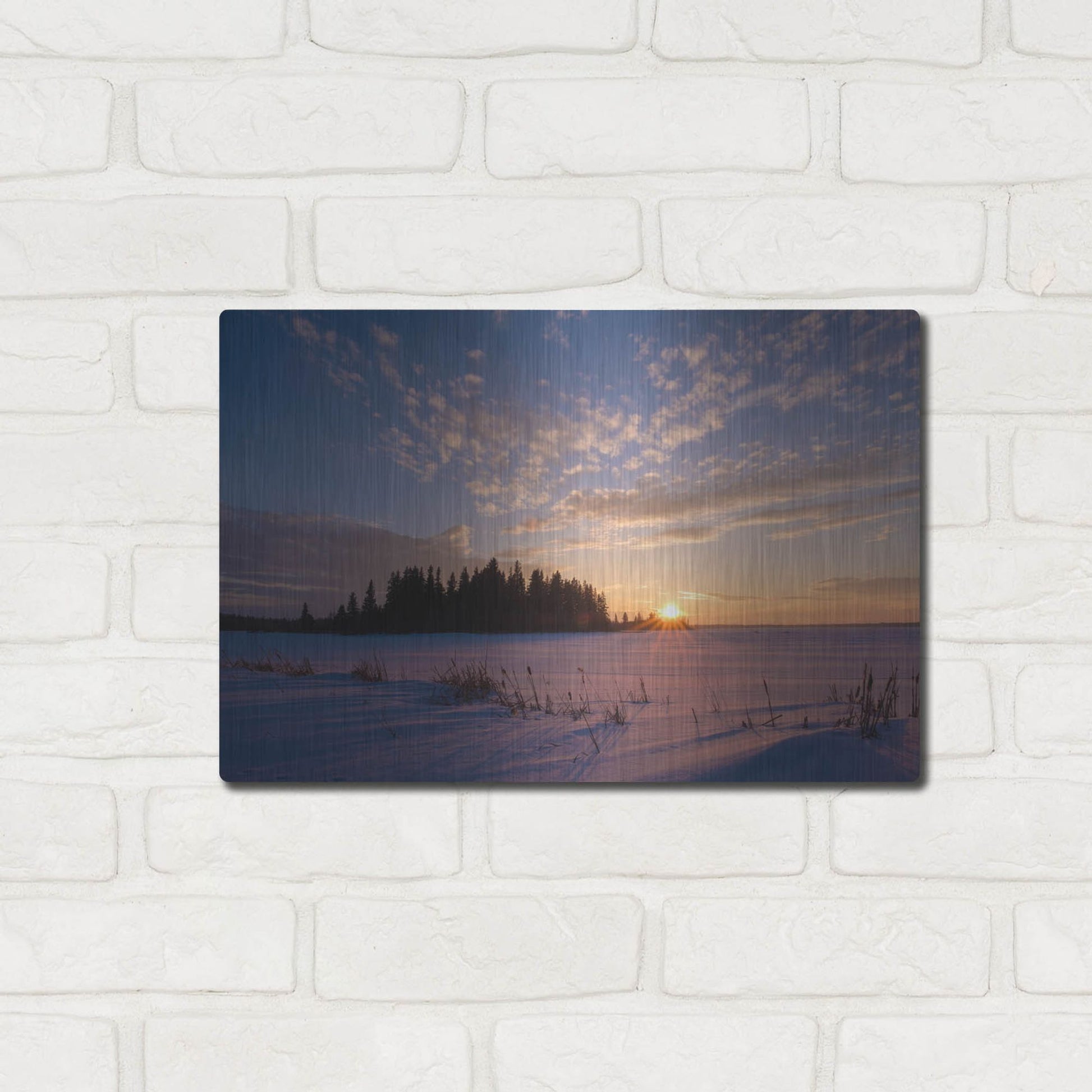 Luxe Metal Art 'Elk Island 3' by Joe Reimer Photography, Metal Wall Art,16x12