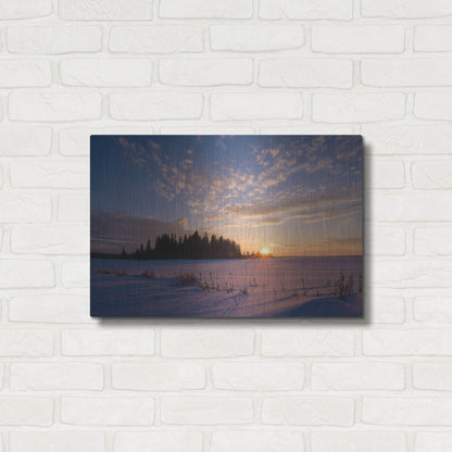 Luxe Metal Art 'Elk Island 3' by Joe Reimer Photography, Metal Wall Art,24x16