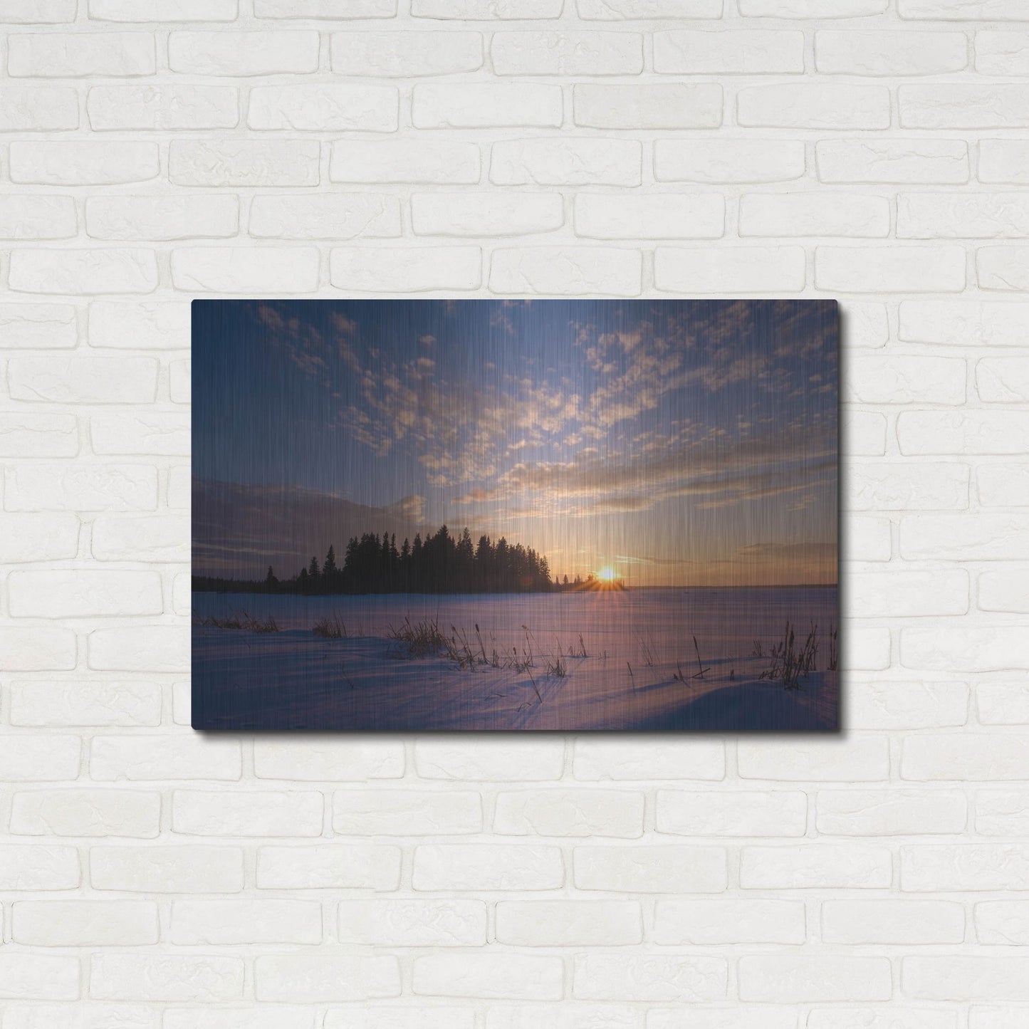 Luxe Metal Art 'Elk Island 3' by Joe Reimer Photography, Metal Wall Art,36x24