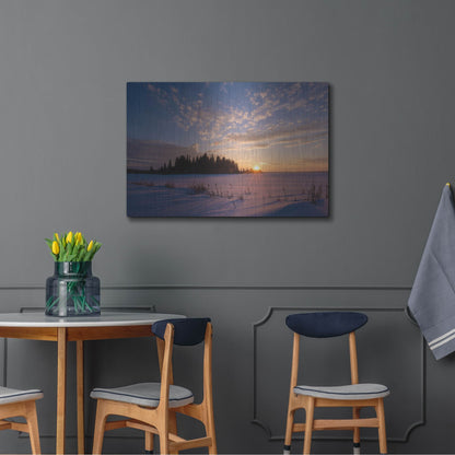 Luxe Metal Art 'Elk Island 3' by Joe Reimer Photography, Metal Wall Art,36x24