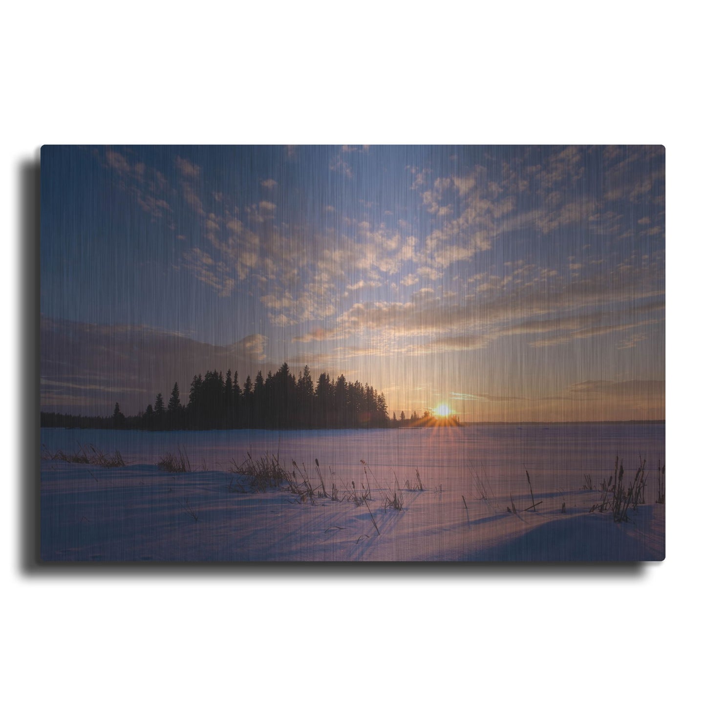 Luxe Metal Art 'Elk Island 3' by Joe Reimer Photography, Metal Wall Art
