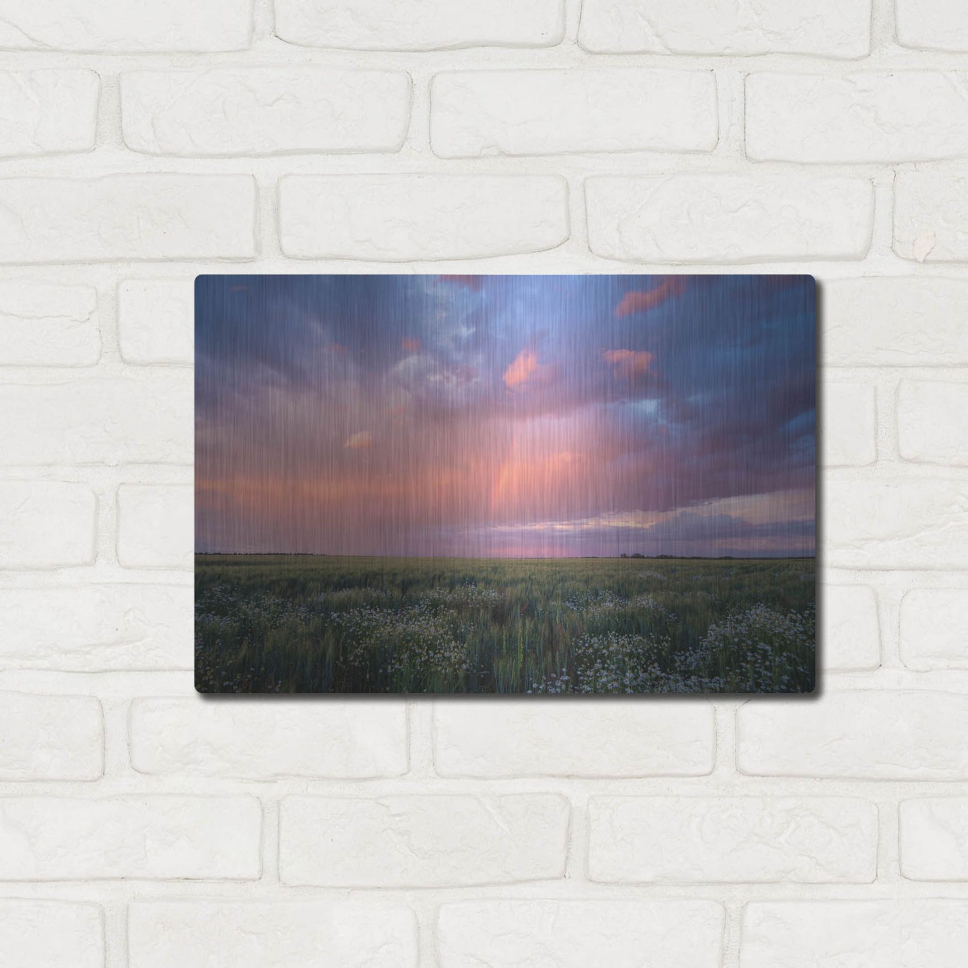 Luxe Metal Art 'Prairie Sunset 1' by Joe Reimer Photography, Metal Wall Art,16x12