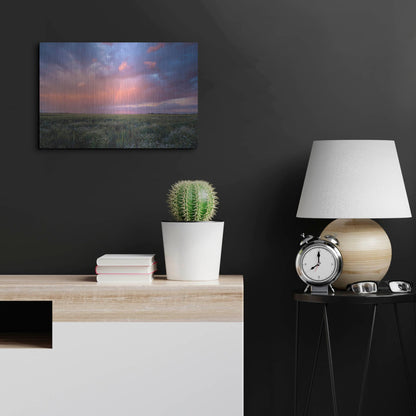 Luxe Metal Art 'Prairie Sunset 1' by Joe Reimer Photography, Metal Wall Art,24x16