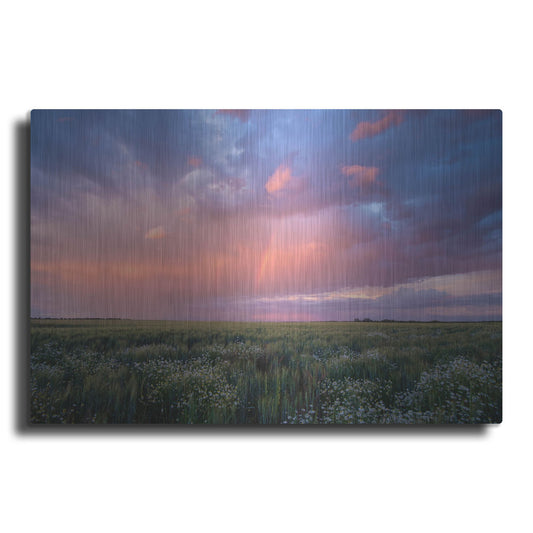 Luxe Metal Art 'Prairie Sunset 1' by Joe Reimer Photography, Metal Wall Art