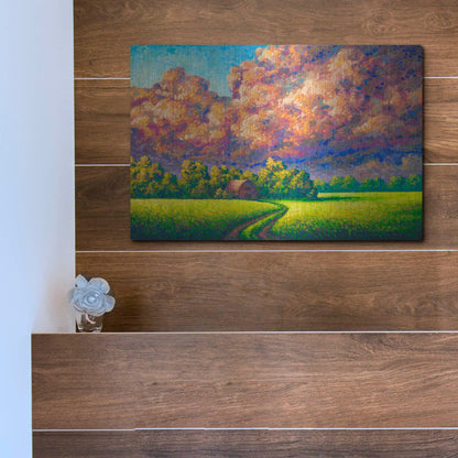 Luxe Metal Art 'August Storm' by Joe Reimer, Metal Wall Art,16x12